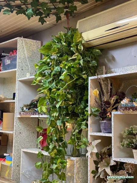 Kilis Neslihan Çiçek Galerisi Peyzaj Organizasyon Kilis Neslihan Çiçek Galerisi Peyzaj Organizasyon