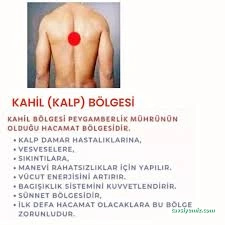 Kırşehir Sufitıbbı Kırşehir Sufitıbbı