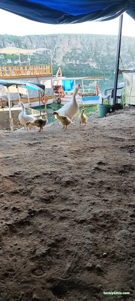 Kızılin Köyü Tekne Turu Kızılin Köyü Tekne Turu