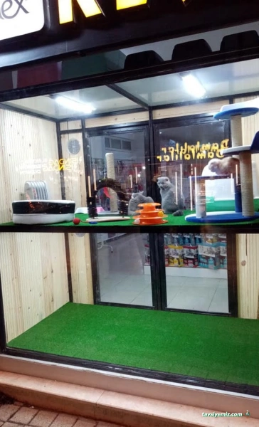 Klas Petshop Klas Petshop