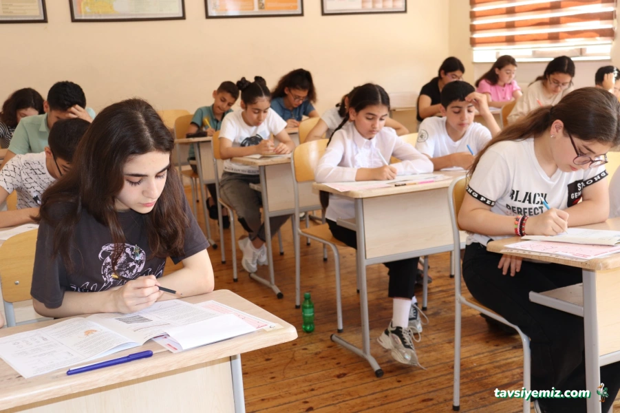 Koala Eğitim Koçluğu Ve Özel Ders Bürosu