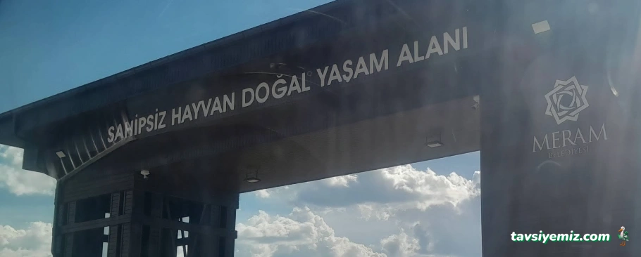 Konya Hayvan Barınağı (Geçici Bakımevi)