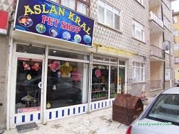 Kral Petshop , Akvaryum &Pethotel Kral Petshop , Akvaryum &Pethotel