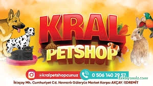 Kral Petshop , Akvaryum &Pethotel Kral Petshop , Akvaryum &Pethotel