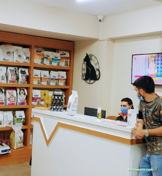 Küçükbakkalköy Veteriner Kliniği Küçükbakkalköy Veteriner Kliniği