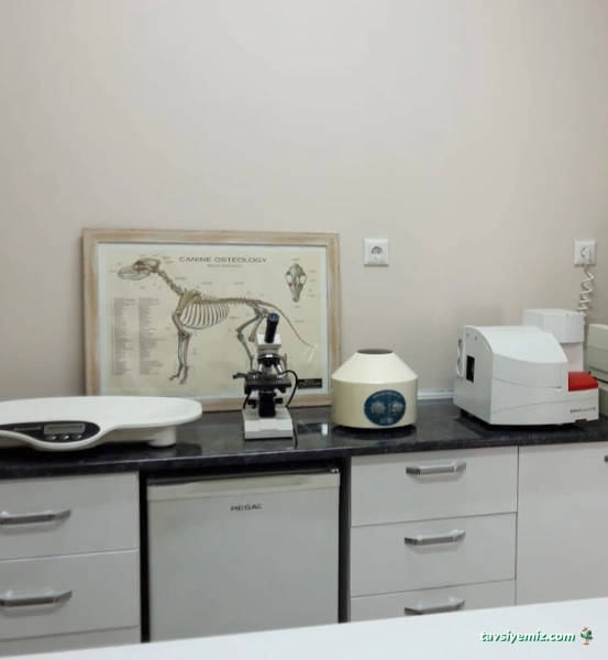 Küçükbakkalköy Veteriner Kliniği Küçükbakkalköy Veteriner Kliniği