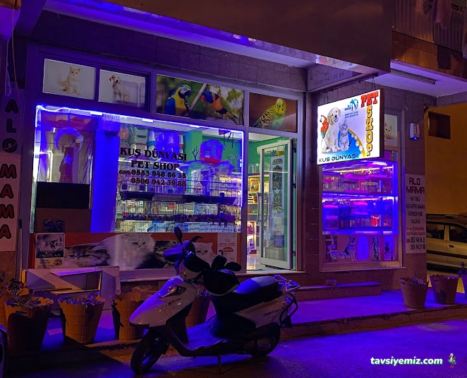 Kuş Dünyası Pet Shop Kuş Dünyası Pet Shop