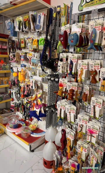 Kuzey Petshop Kuzey Petshop