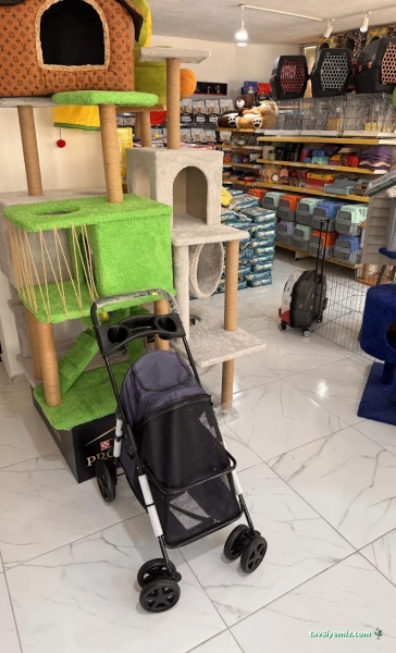 Kuzey Petshop Kuzey Petshop