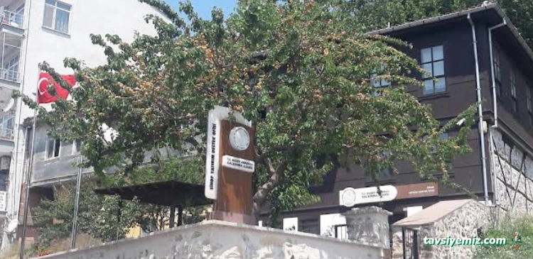 Kuzka Sinop Yatirim Destek Ofisi