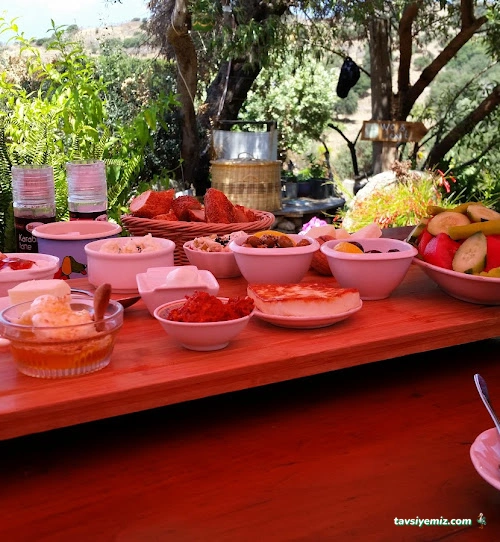 Limon Gümüşlük Restaurant Limon Gümüşlük Restaurant