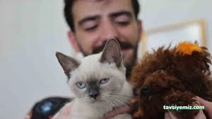 Malatya Pet Kuaför Malatya Pet Kuaför