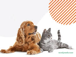 Malatya Pet Kuaför Malatya Pet Kuaför