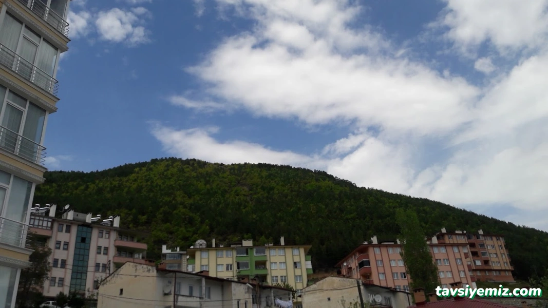Marketim İskebe Marketim İskebe