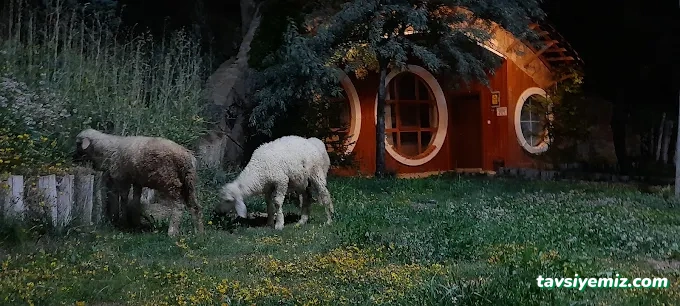 Masal Yamaç Otel Kafe Masal Yamaç Otel Kafe