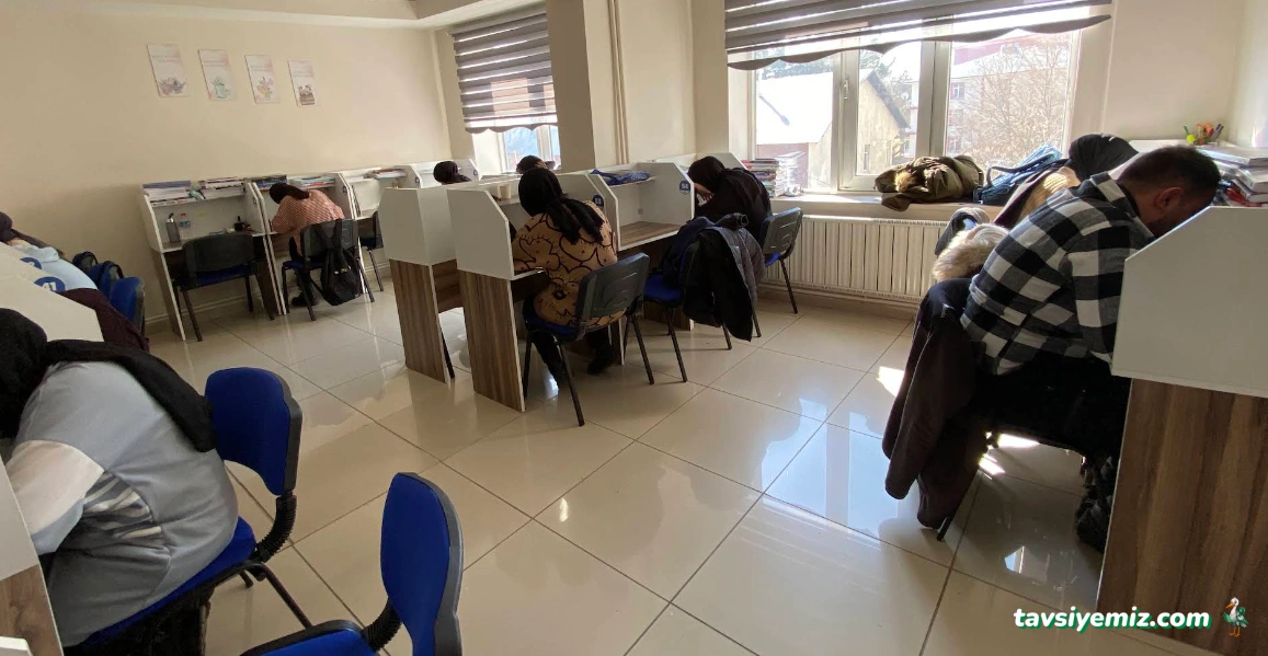 Mavi Eğitim Danışmanlığı