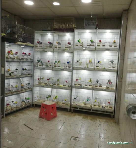 Mavi Tuna Pet Shop Mavi Tuna Pet Shop