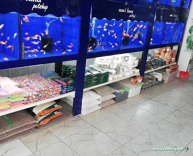 Mavi Tuna Pet Shop Mavi Tuna Pet Shop
