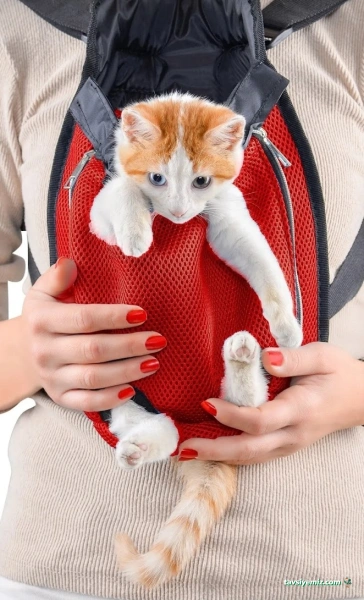 Mazlum Pet Shop Mazlum Pet Shop