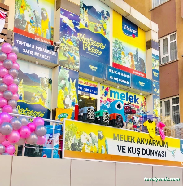 Melek Akvaryum Melek Akvaryum
