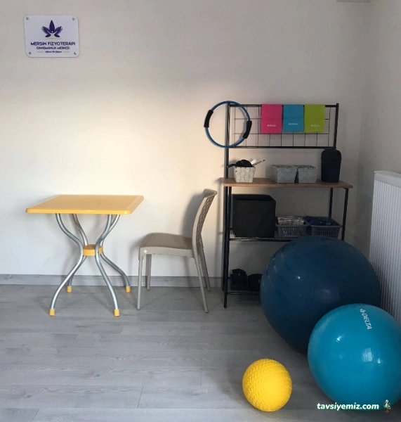 Mersin Fizyoterapi Danışmanlık Merkezi