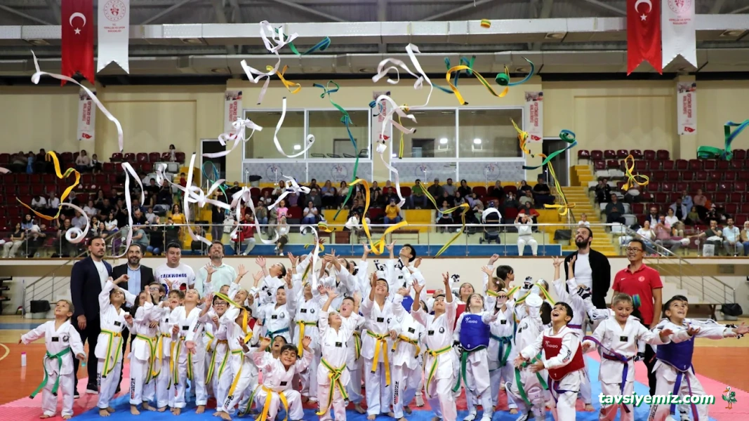 Mert Süngü Taekwondo Mert Süngü Taekwondo