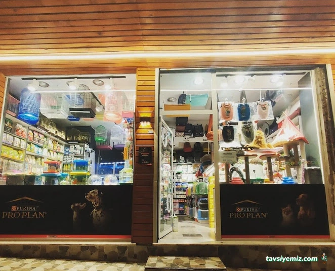 Merve Petshop Merve Petshop