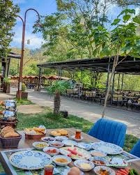 Misi Yaşam Misi Yaşam