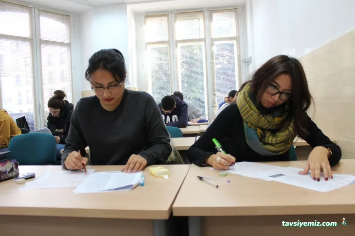 Mk Dil Eğitim Ve Tercüme Hizmetleri