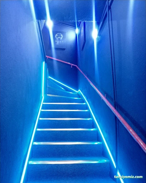 Mona Vip Beauty