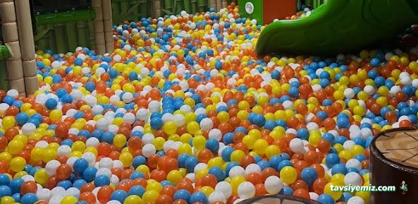 Monkey Jungle Erzurum