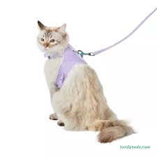 Moons Pet Store & Pet Care Moons Pet Store & Pet Care