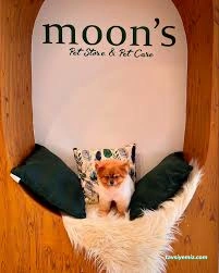 Moons Pet Store & Pet Care Moons Pet Store & Pet Care