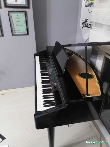 Mosso Müzik Okulu Mosso Müzik Okulu