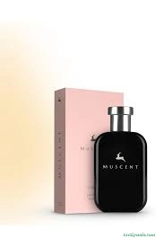 Muscent Perfume Aydın Muscent Perfume Aydın