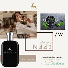 Muscent Perfume Aydın Muscent Perfume Aydın