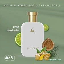 Muscent Perfume Aydın Muscent Perfume Aydın