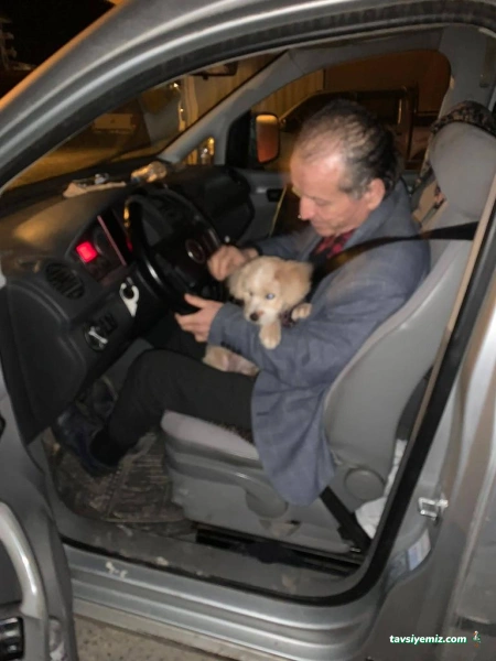 Mustafa Nakliye Volkswagen Caddy