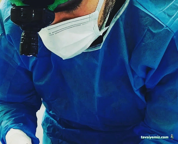 Mutlu Kuyruklar Veteriner Kliniği Mutlu Kuyruklar Veteriner Kliniği