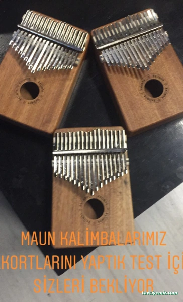 Müzikhane Sanat Isparta Müzikhane Sanat Isparta