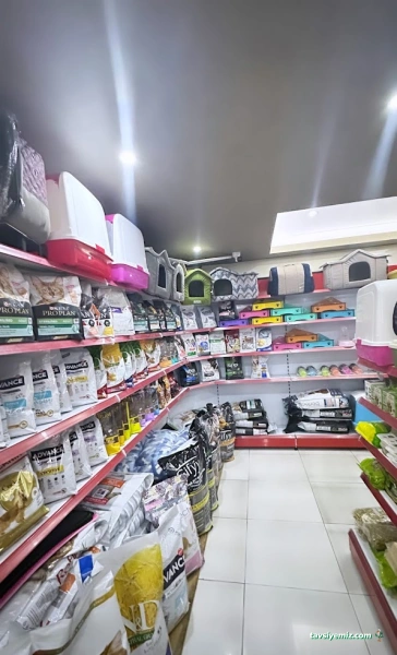 My Jumbo Petshop ( Alo Mama ) My Jumbo Petshop ( Alo Mama )