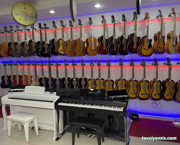 Nar Müzik Aletleri Nar Müzik Aletleri