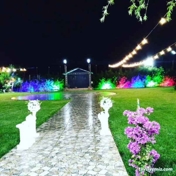 Narçiçeği Kır Bahçesi Narçiçeği Kır Bahçesi