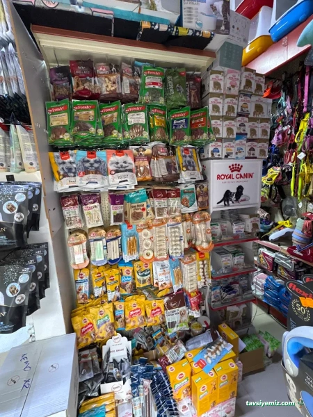 Nemo Pet Shop