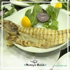 Nergiz Balık Nergiz Balık