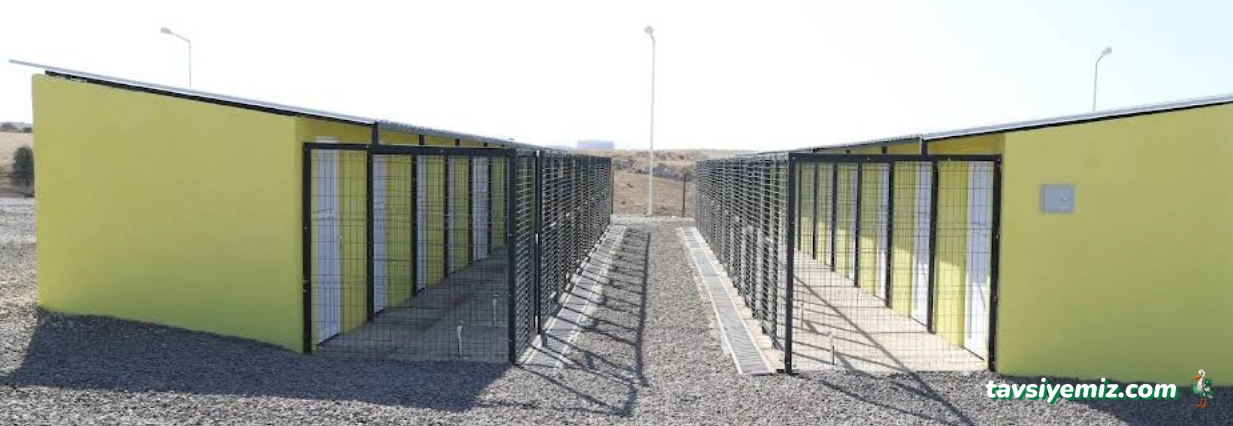 Nevsehir Belediyesi Hayvan Barınağı