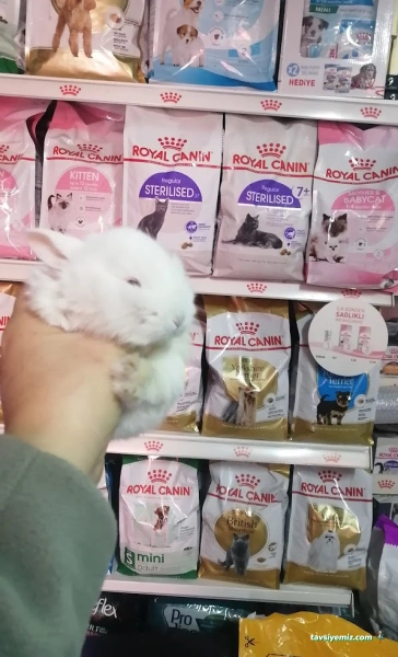 Nihal Pet Shop Nihal Pet Shop