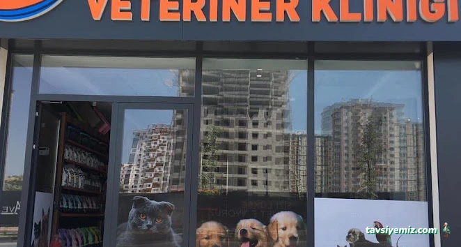Nuhun Gemisi Veteriner Kliniği Nuhun Gemisi Veteriner Kliniği