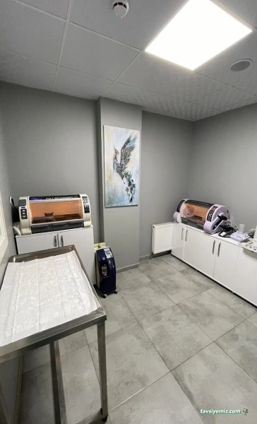 Nuhun Gemisi Veteriner Kliniği Nuhun Gemisi Veteriner Kliniği
