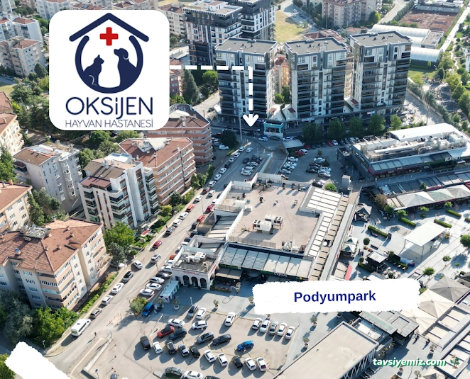 Oksijen Hayvan Hastanesi Oksijen Hayvan Hastanesi
